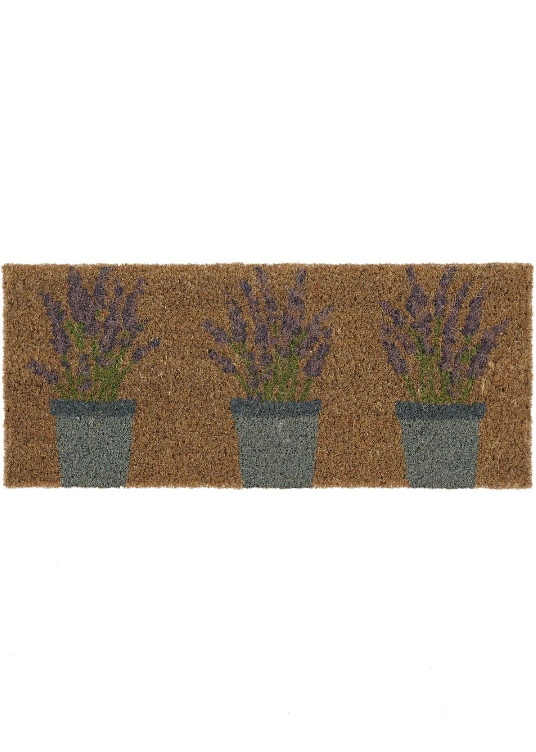Outdoor Lavender Coir Insert 23x53cm