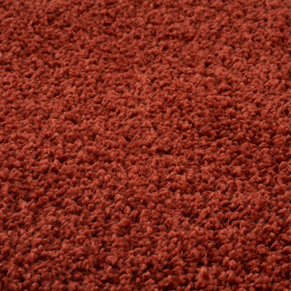 Myshaggy Solid Terra Rug by The Rugs