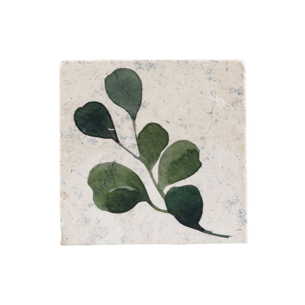 Selbrae House Flora Single Stone Coaster