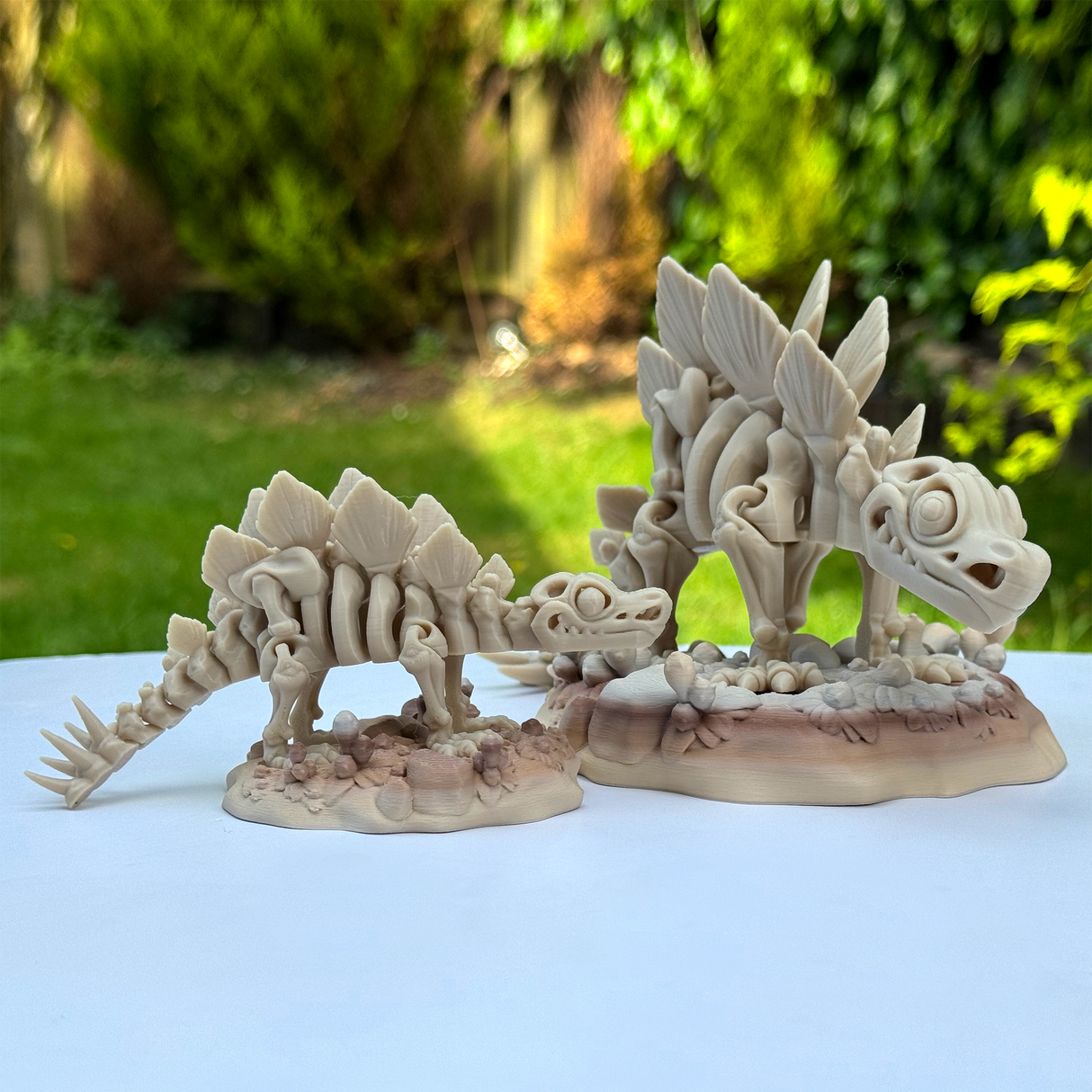 Filamora Studios Articulated Stegosaurus Skeleton