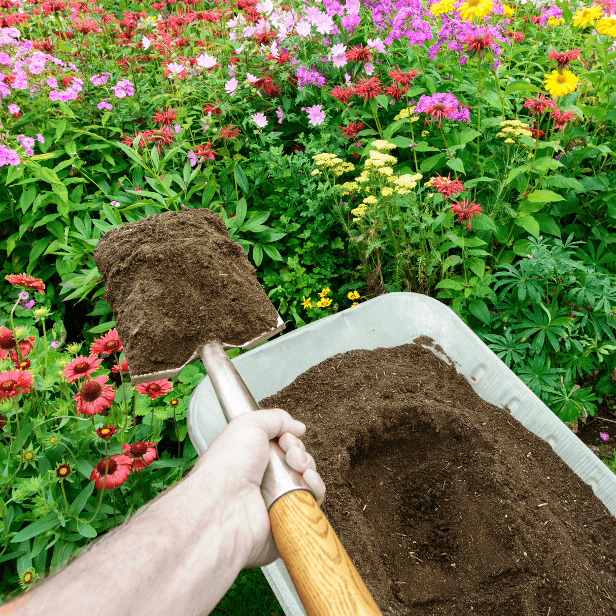Dandy’s Bordermix® Welsh Topsoil for plants and flowers