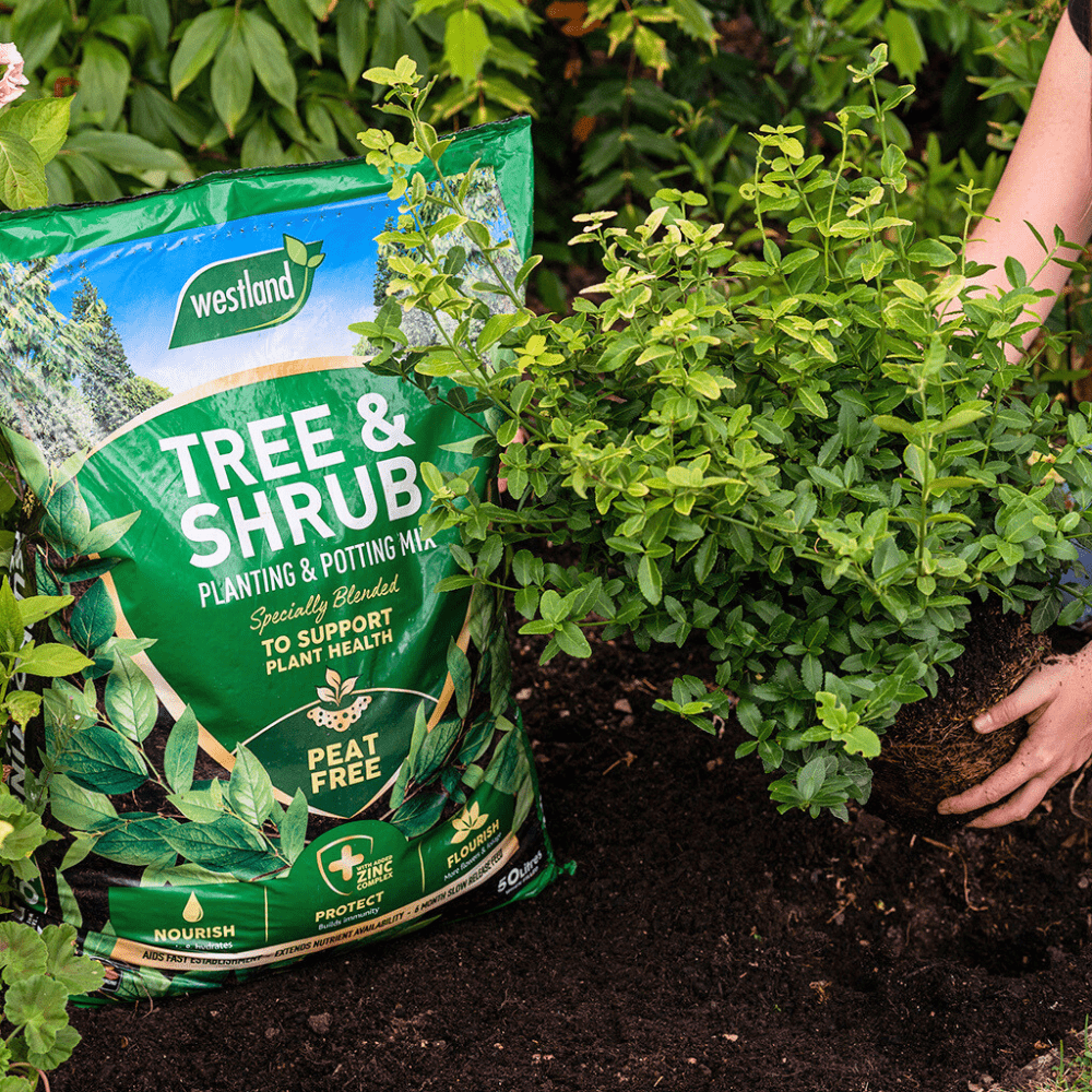Dandy's Tree & Shrub Planting Potting Mix 50L Bulk Buy