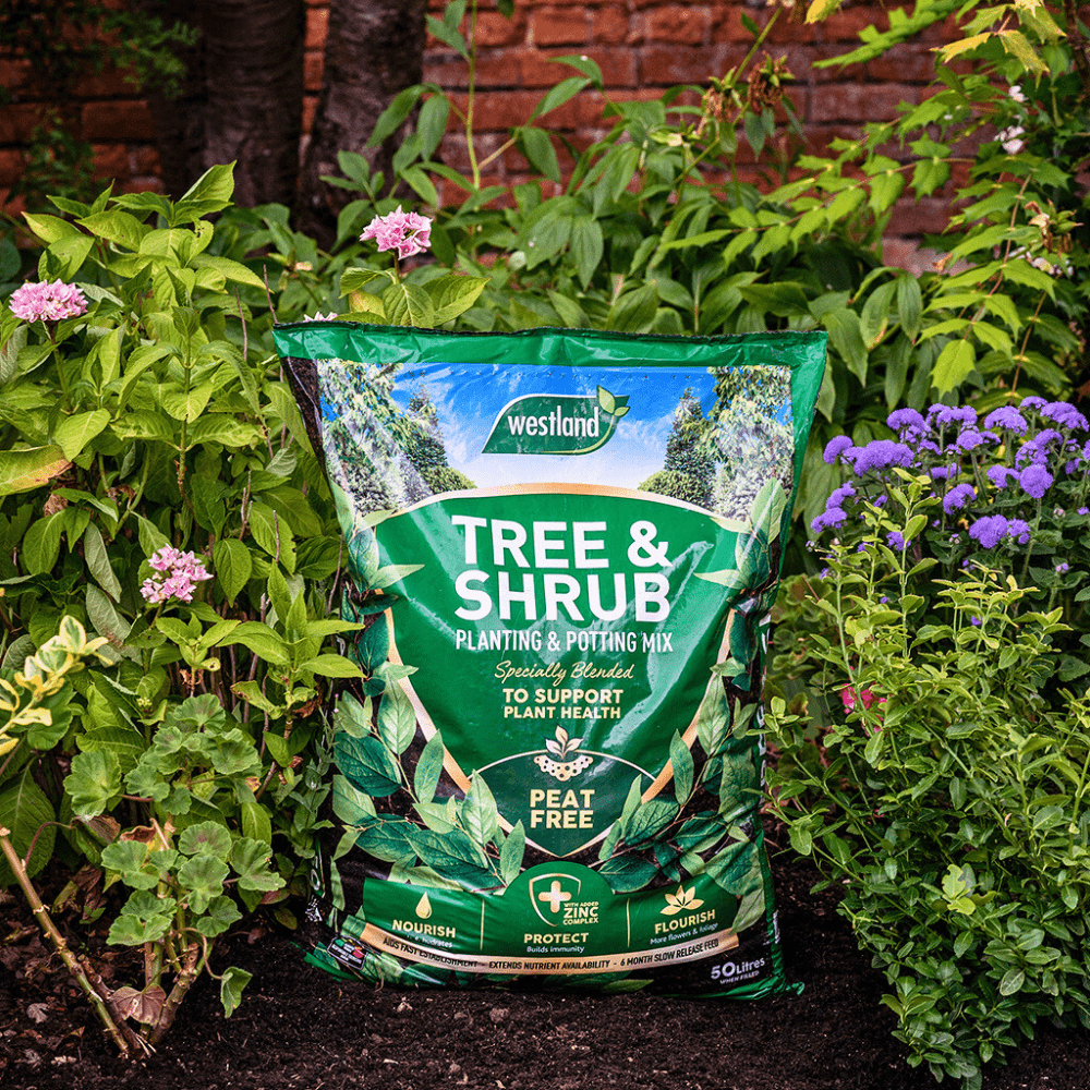 Dandy's Tree & Shrub Planting Potting Mix 50L Bulk Buy