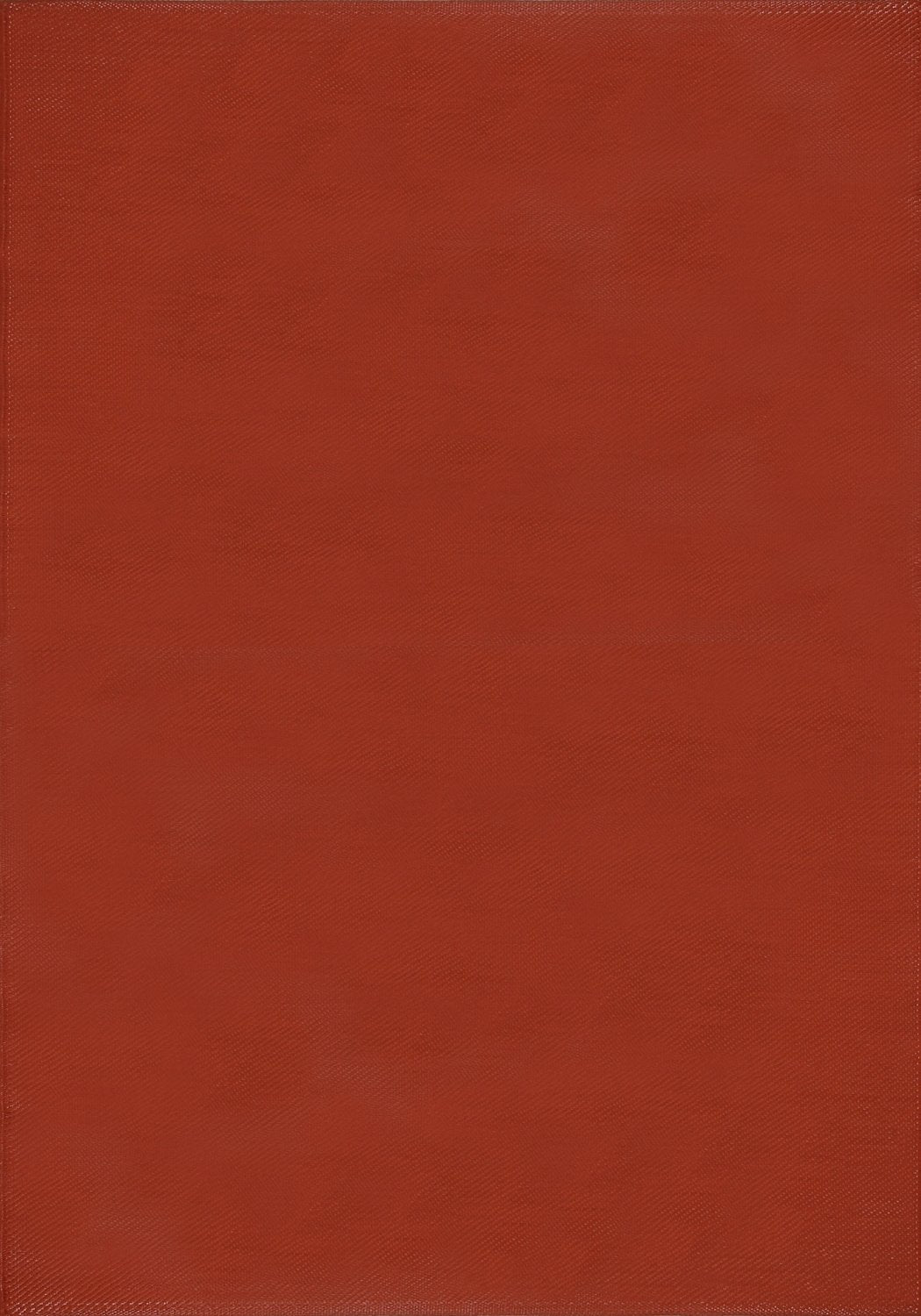 The Rugs Urban Outdoor Rug Terra 1000