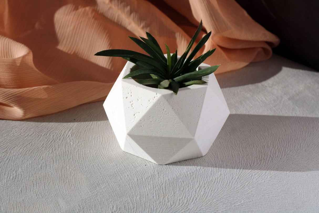 Gloria Home White Concrete Polygonal Pot