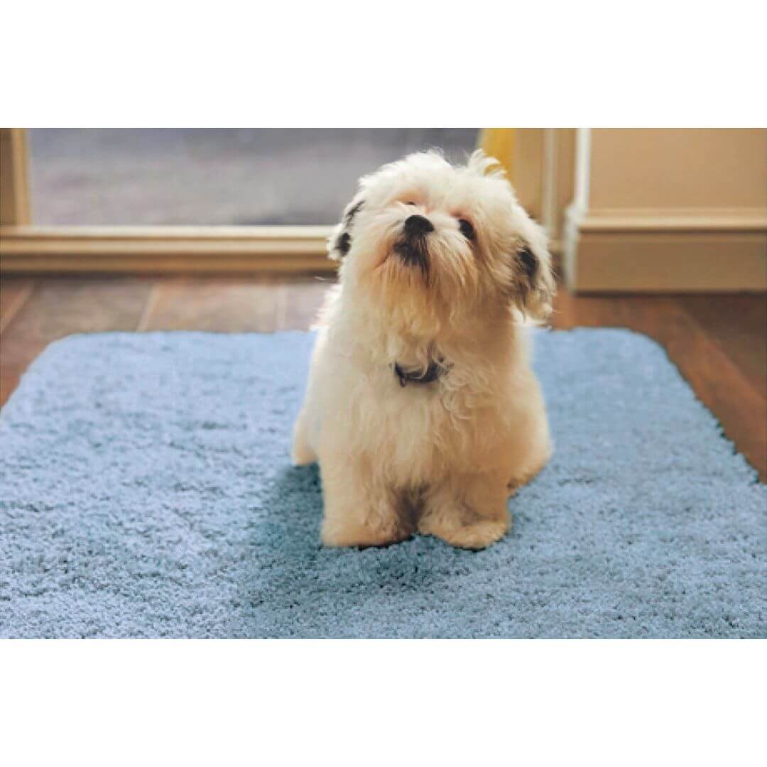 Plush Machine‑Washable Blue Shaggy Floor Rug by The Rugs