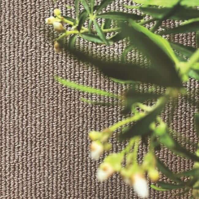 Washable Mat & Runners Plain Design by The Rugs