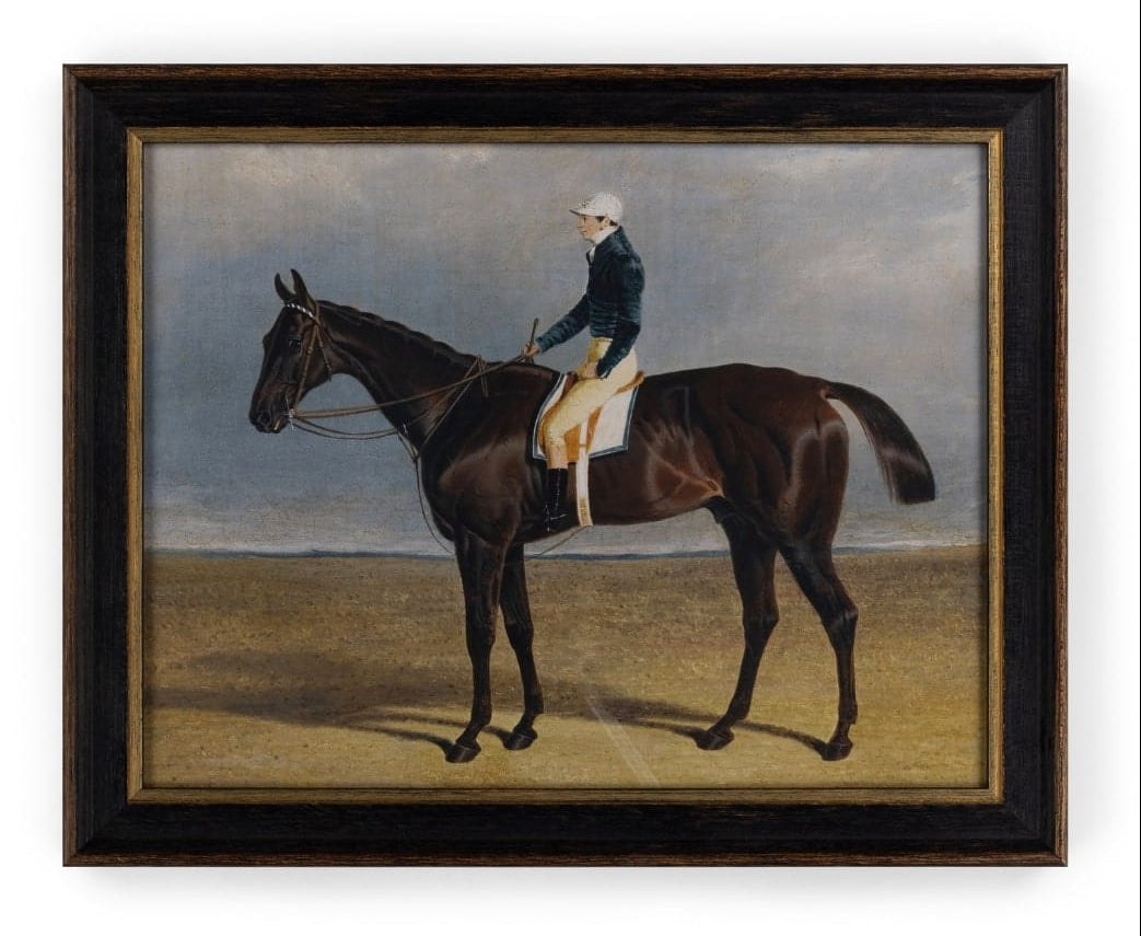 Casa by Josephine Jenno A Champion's Rest Vintage Horse Print