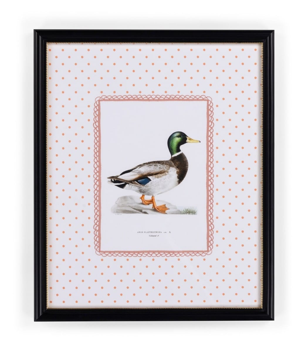 Feather and Grace Duck Print III | Casa by Josephine Jenno