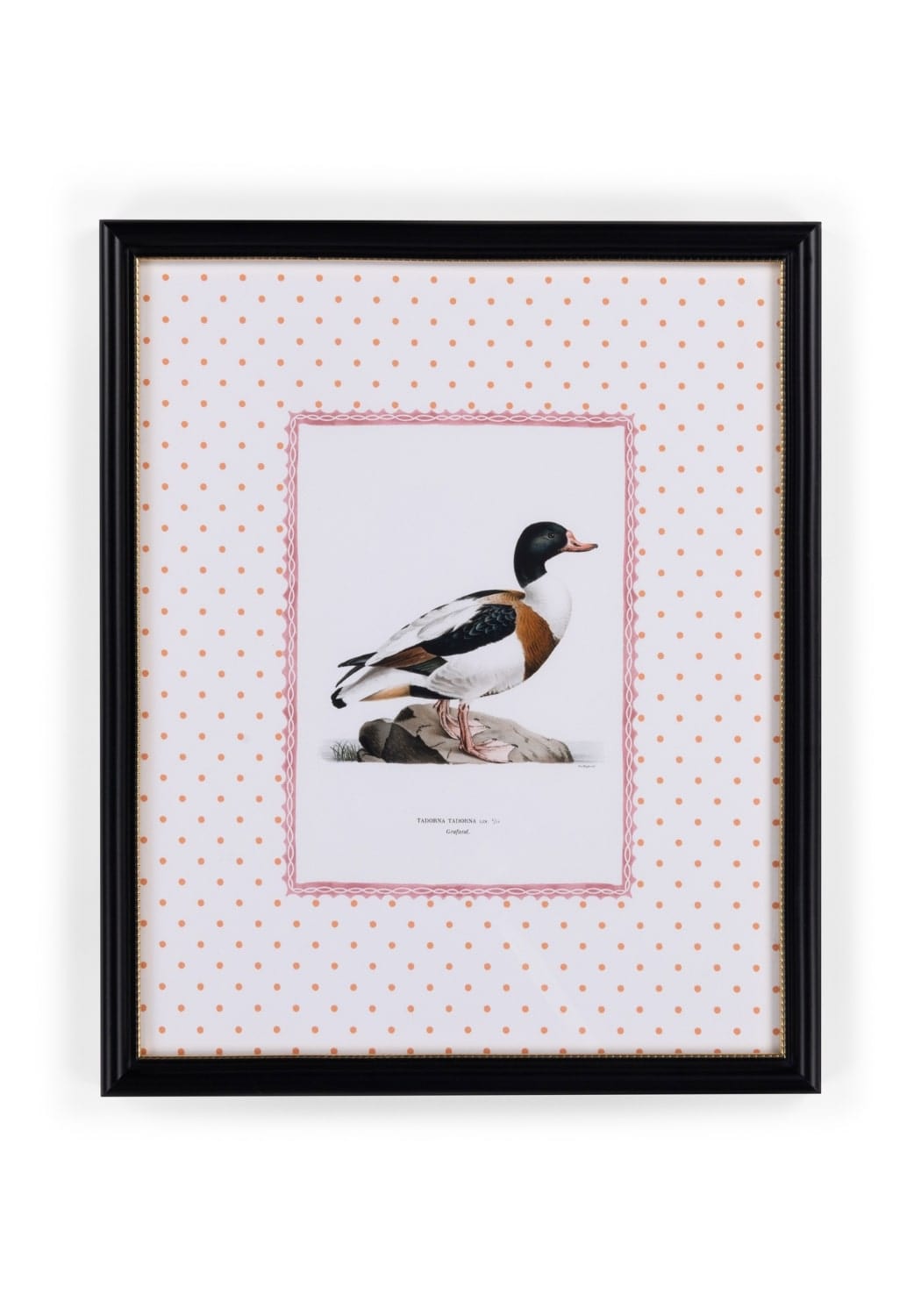 Casa by Josephine Jenno Duck IV Framed Print