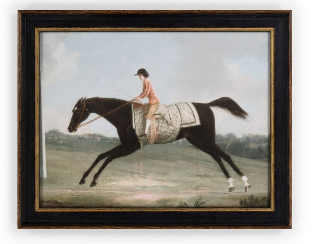 Casa by Josephine Jenno Vintage Racing Day Glory Horse Prints