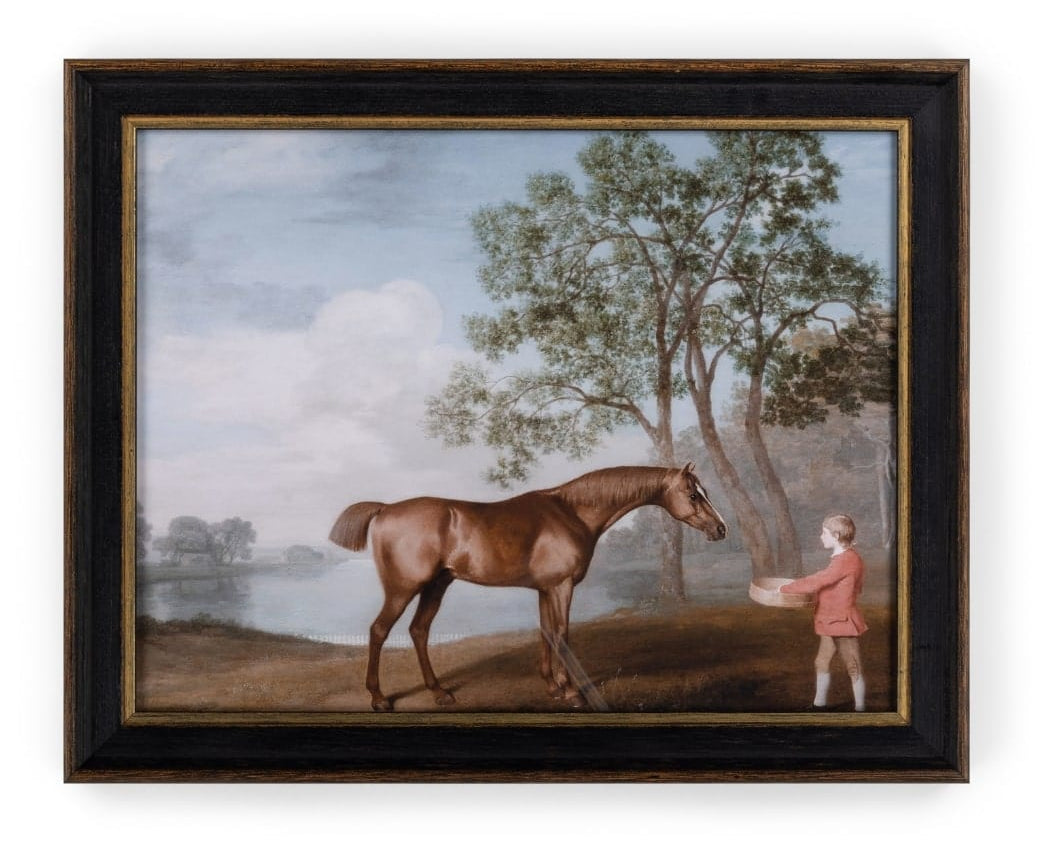 Casa by Josephine Jenno table Companion Vintage Horse Print with Boy