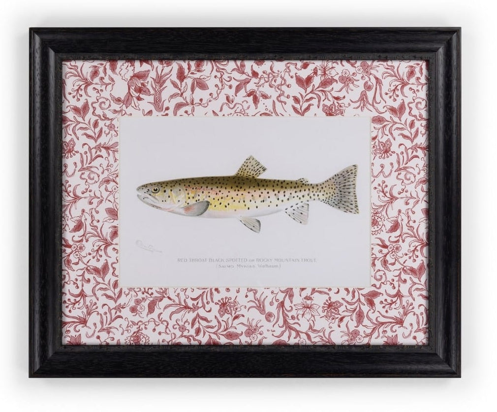 Casa by Josephine Jenno Fish II Framed Print