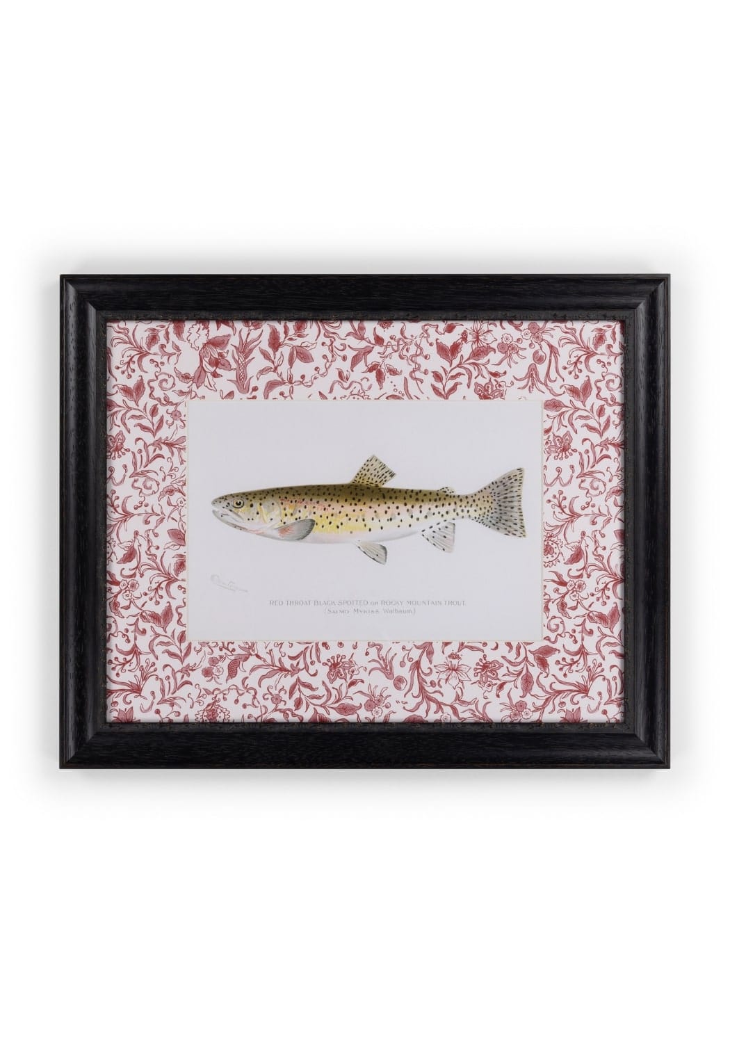 Casa by Josephine Jenno Fish II Framed Print