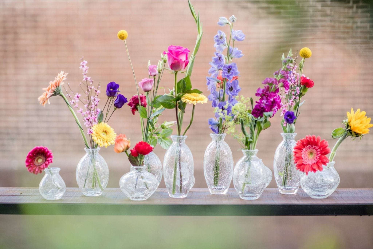 Lowlands Design Nadiel Clear Bubbles Budvase Set