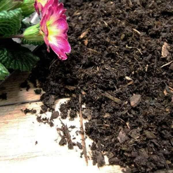 Dandy's Composted Mulch Bark Fines