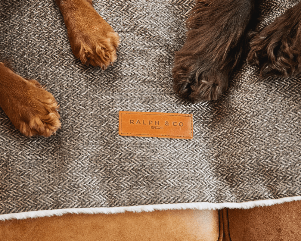 Ralph & Co Luxury Washable Tweed Dog Blanket - Lincoln