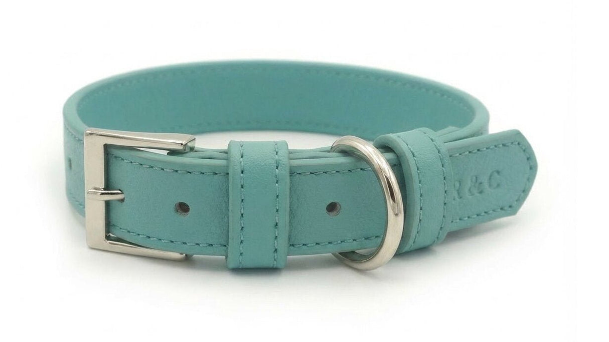 Ralph & Co Duck Egg Blue Leather Dog Collar