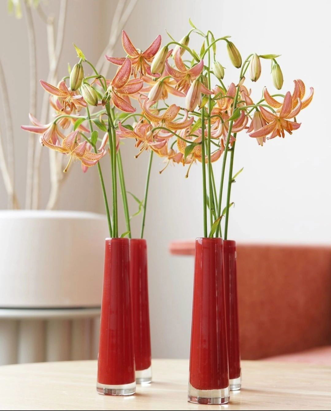Lowlands Design Solifleur Bud Vase - Red