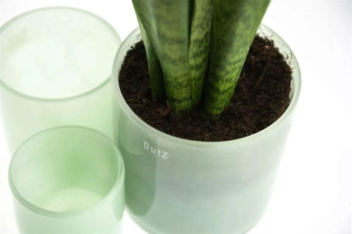 Lowlands Design C1 Glass Candleholder
