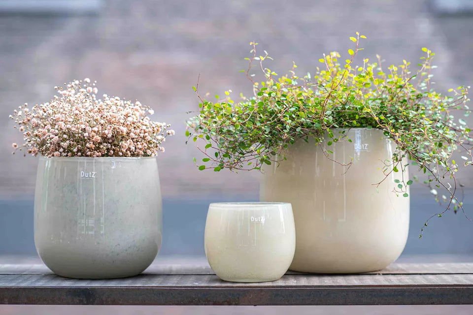 Lowlands Design Beige Glass Pot by DutZ