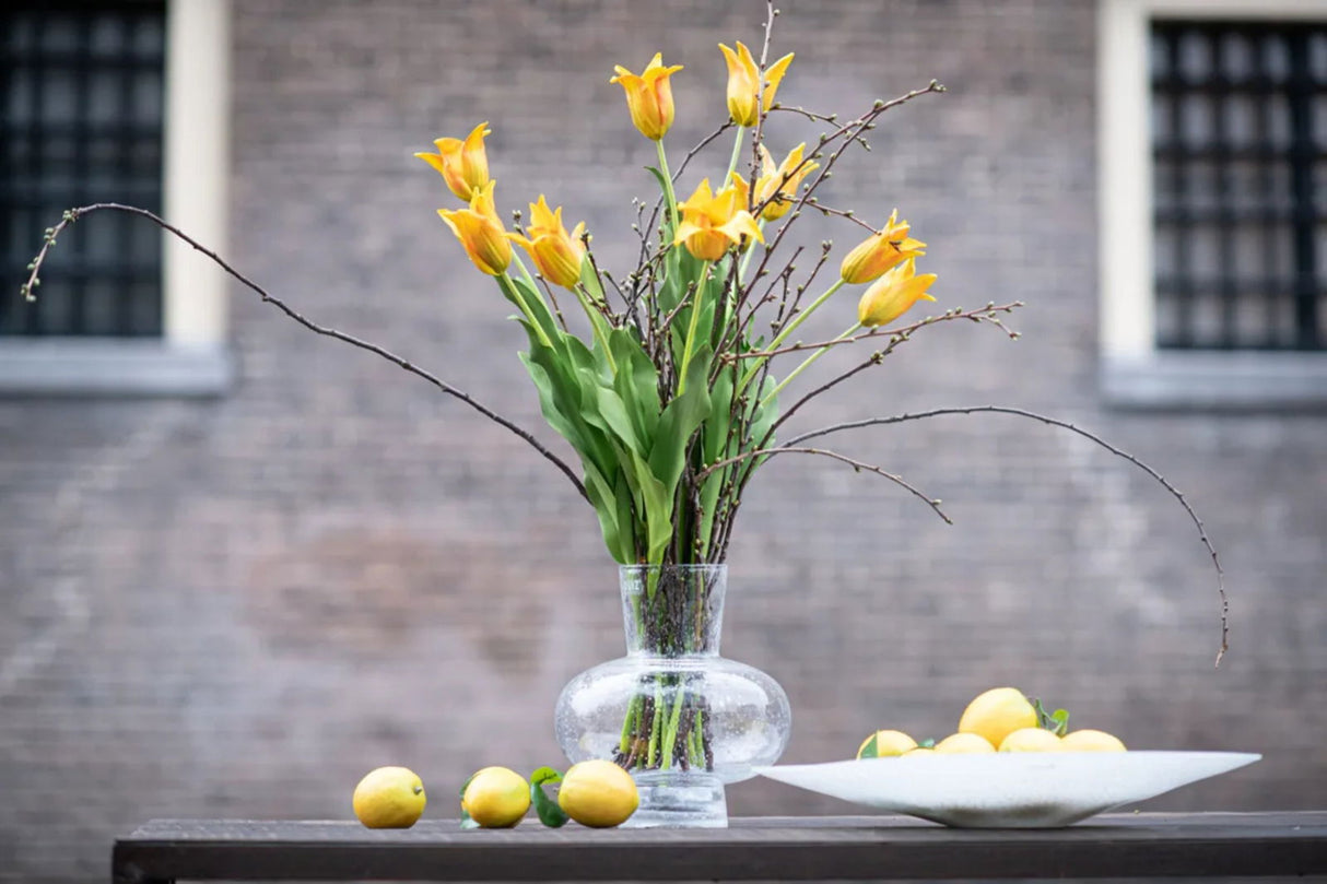 Lowlands Design Modest Clear Bubbles Vase