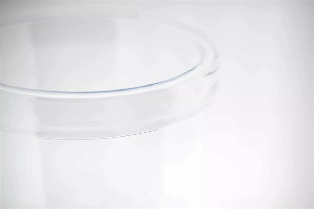 Lowlands Design Amazon Clear Hurricane Vase