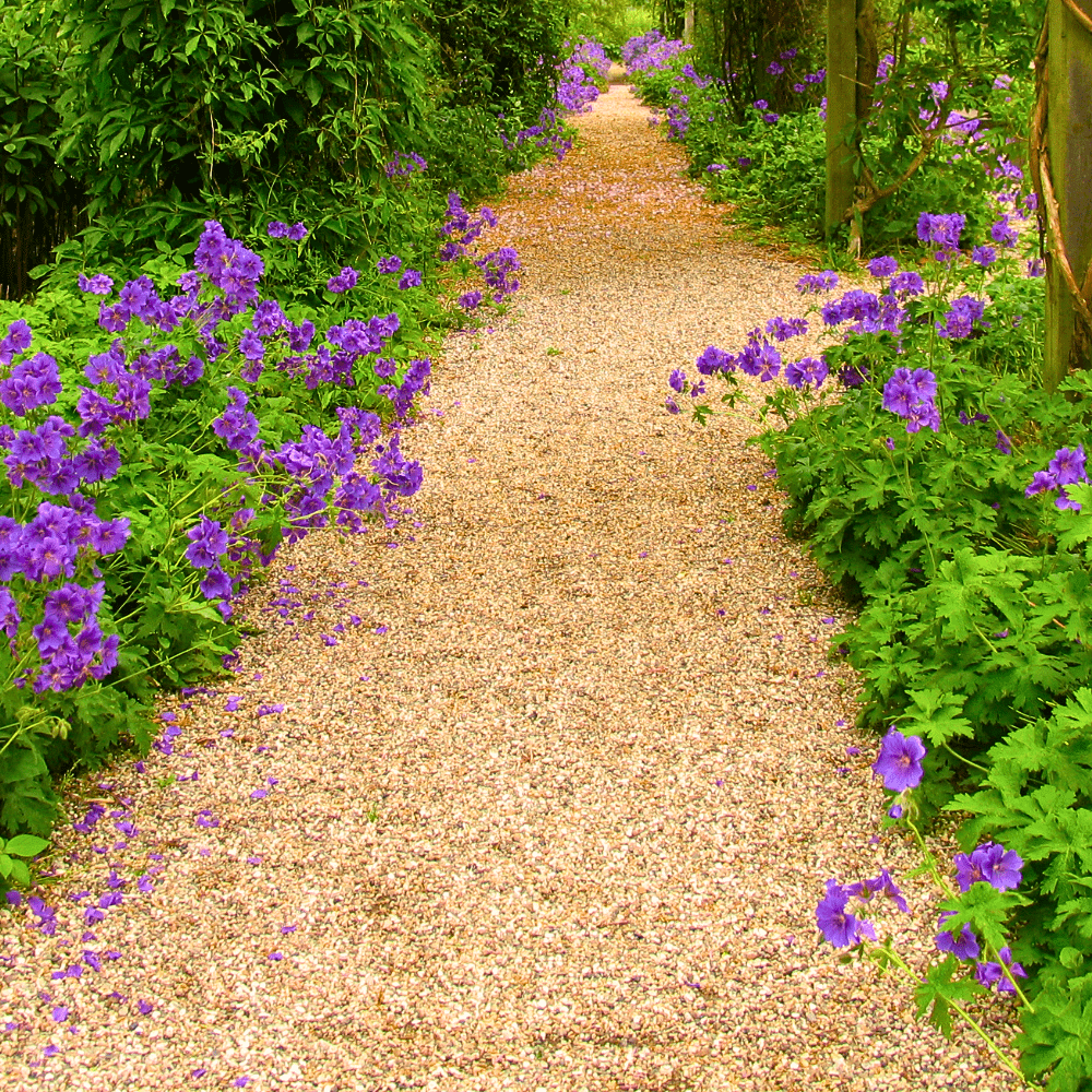 Dandy’s Golden Gravel Chippings