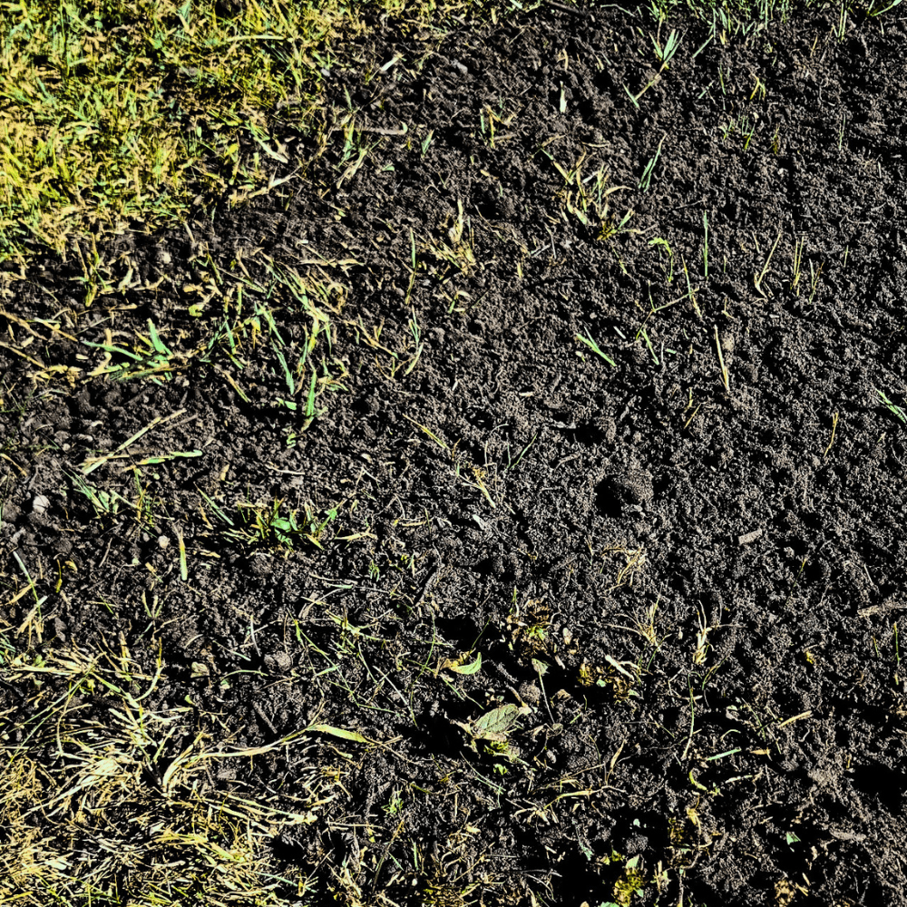 Dandy's Green Again Lawn Reviver