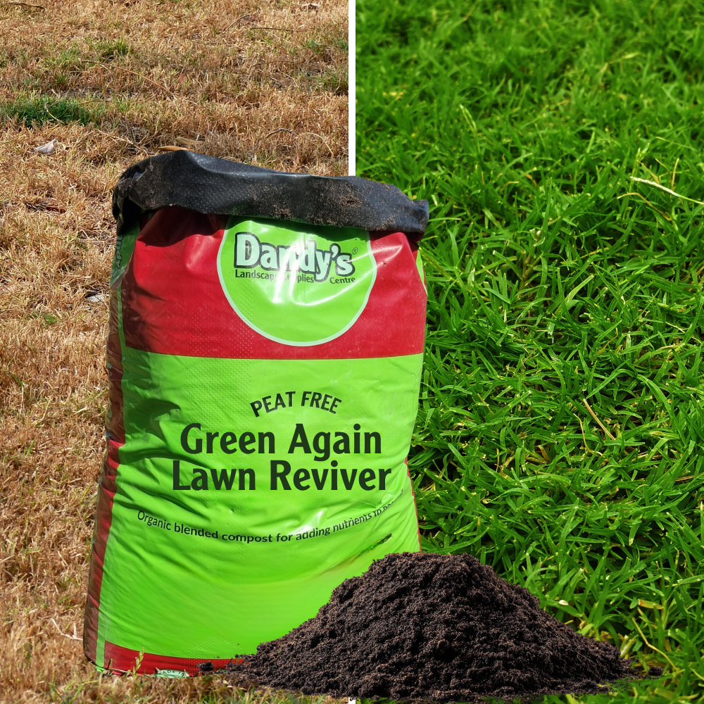 Dandy's Green Again Lawn Reviver