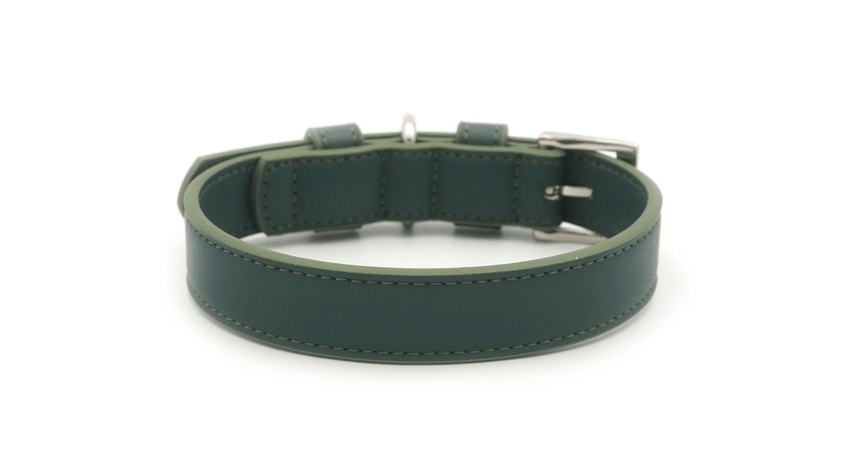 Ralph & Co Green Leather Dog Collar