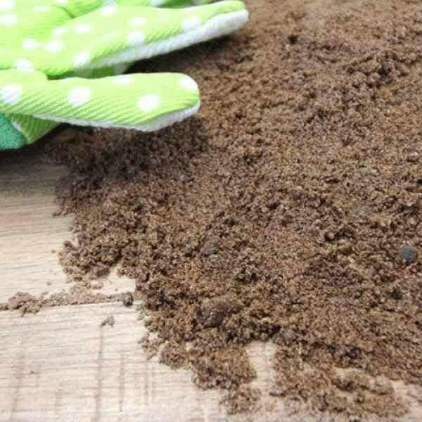 Dandy’s Grit Sharp Coarse Sand