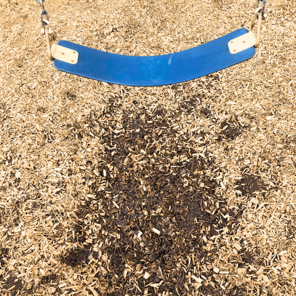 Dandy's Hardwood Play Chips