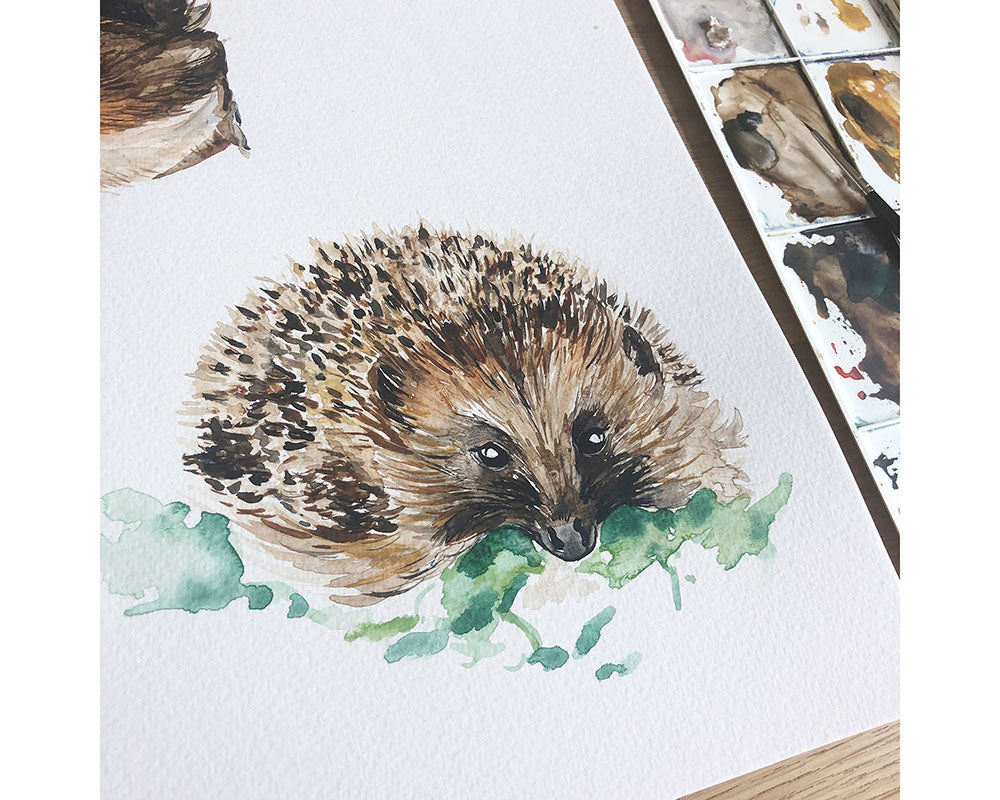 Hedgehog Hand Painted Greetings Card | Katie Hipwell Design