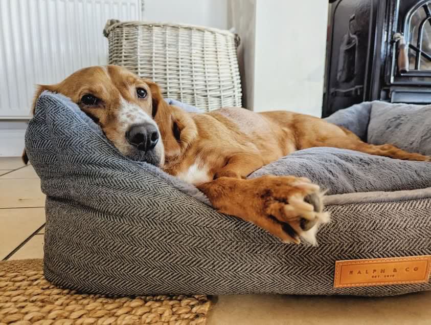 Ralph & Co Balmoral Luxury Herringbone Dog Bed