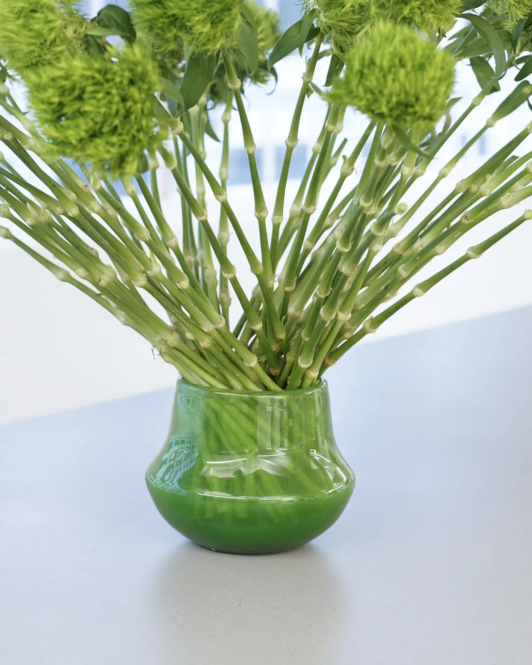Lowlands Design Marco Jungle Green Glass Orchid Pot