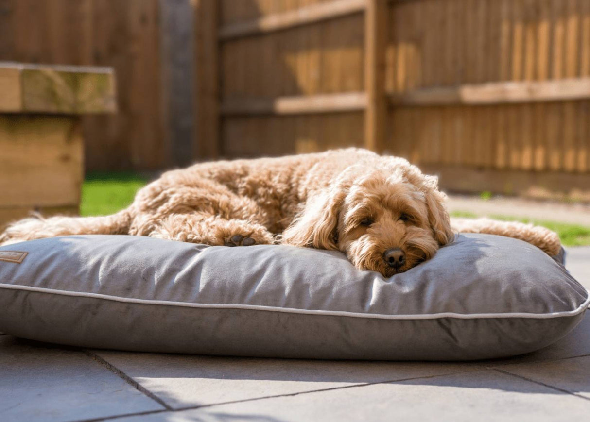 Ralph & Co Luxury Grey Memory Foam Crate Bed