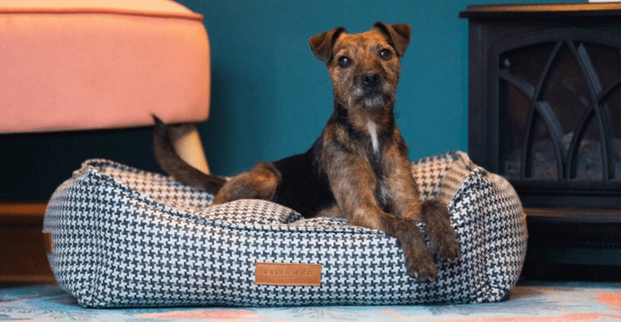 Ralph & Co Kensington Luxury Houndstooth Dog Bed