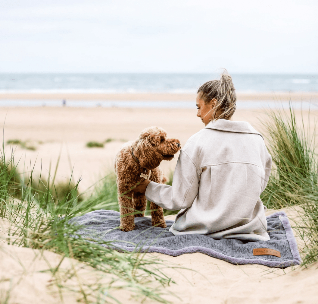 Ralph & Co Luxury Washable Herringbone Dog Blanket
