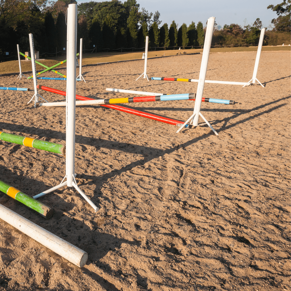 Dandy's Horticultural Silica Sand