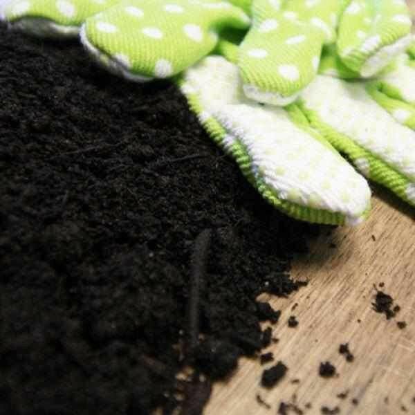 Dandy's Green Again Lawn Reviver