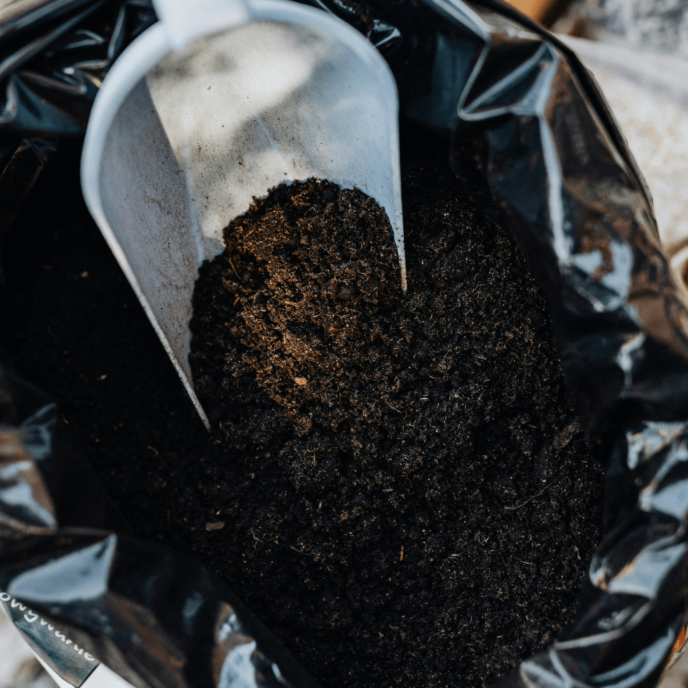 Dandy's Premium Multi Purpose Compost 0–10mm