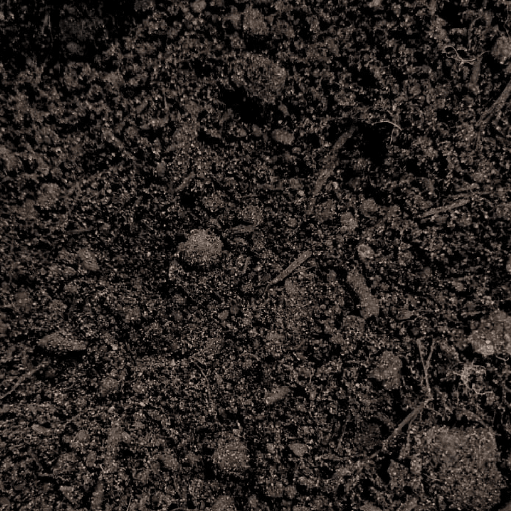 Dandy's Premium Multi Purpose Compost 0–10mm