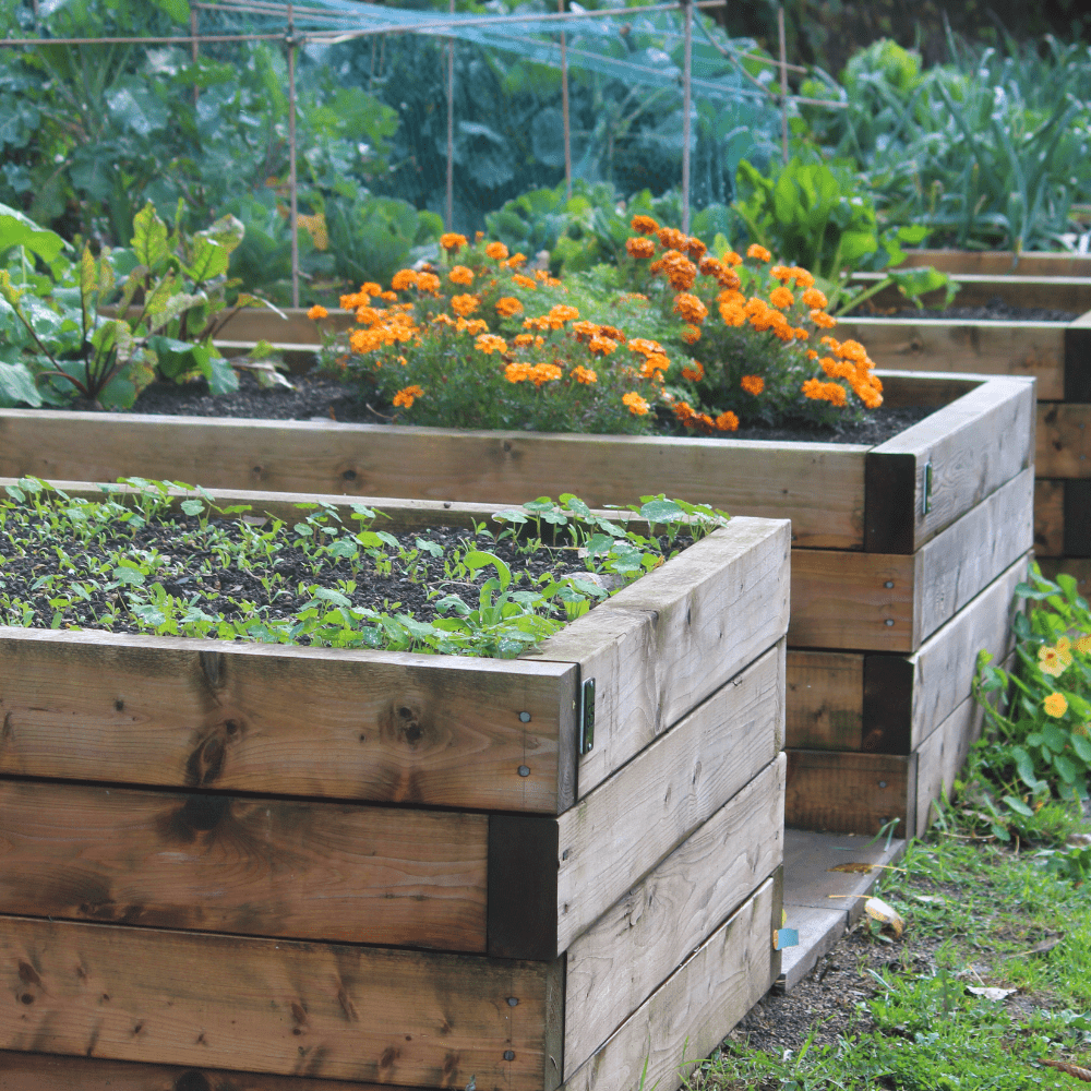 Dandy’s BedGrow® Raised Bed Welsh Topsoil Mix