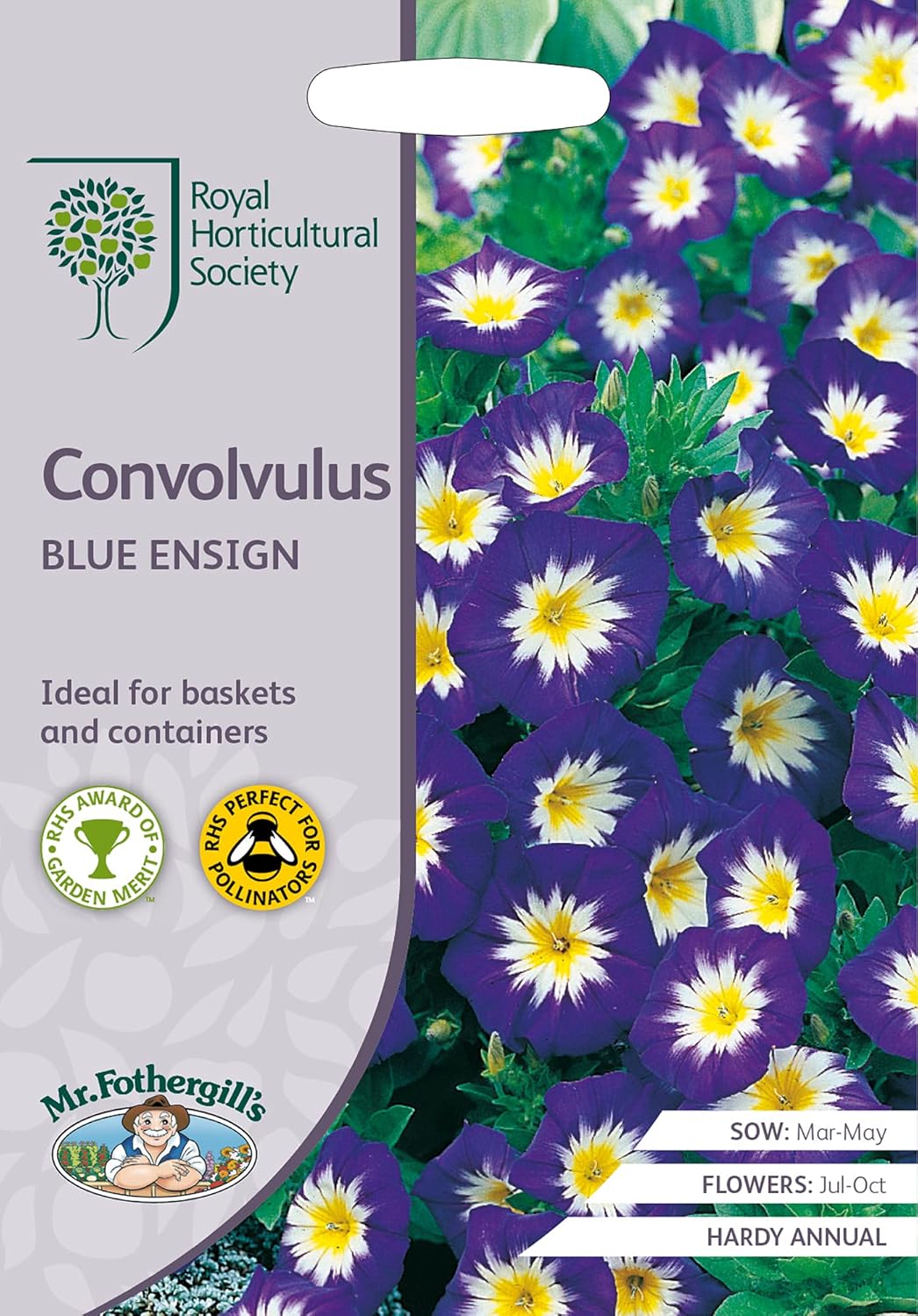 AllotMate Essentials RHS Coreopsis Early Sunrise Seeds 200