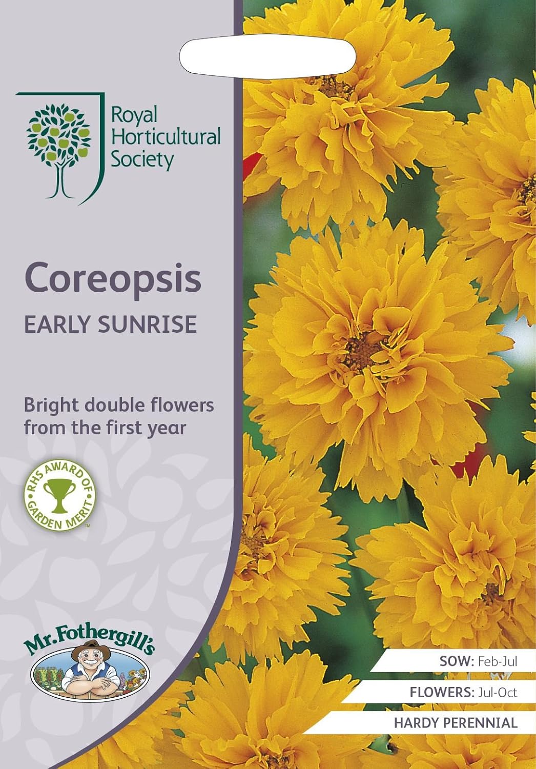 AllotMate Essentials RHS Coreopsis Early Sunrise Seeds 200