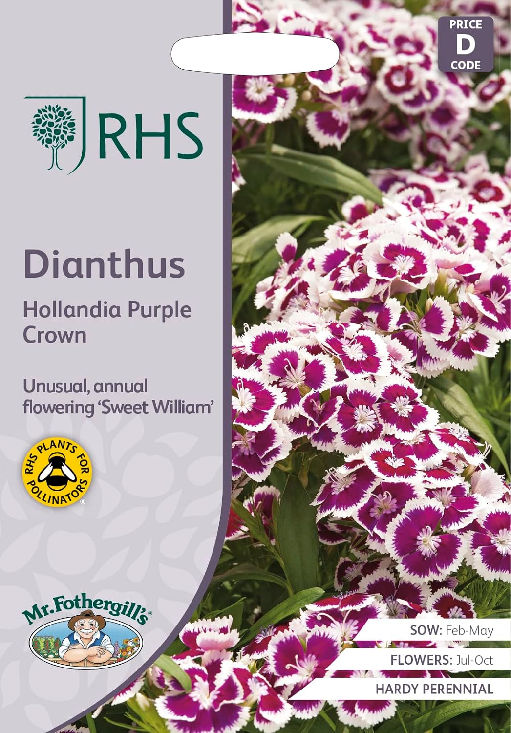 AllotMate Essentials RHS Dianthus Hollandia Purple Crown 100 Seeds