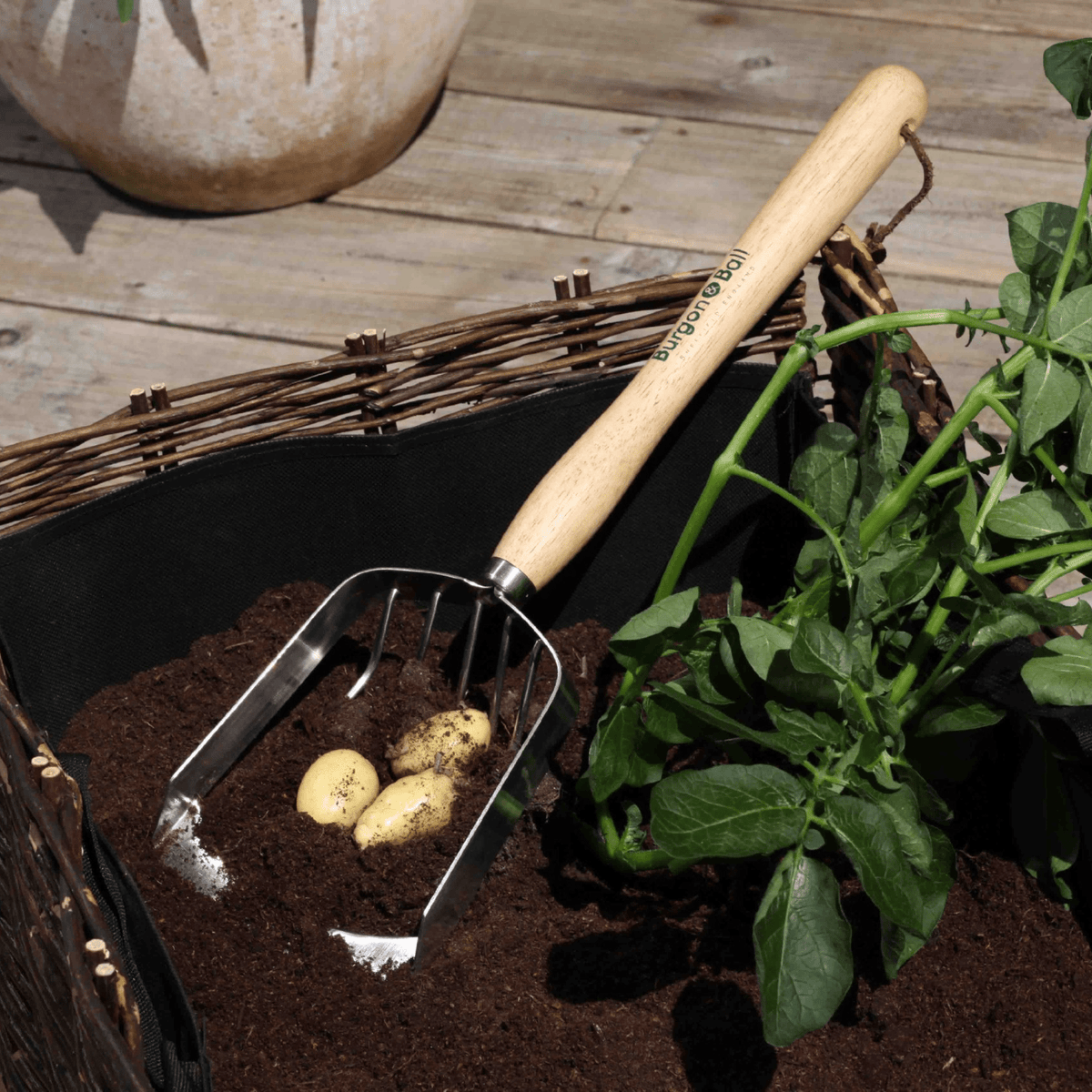 AllotMate Essentials RHS Endorsed Stainless Steel Potato Harvesting Scoop