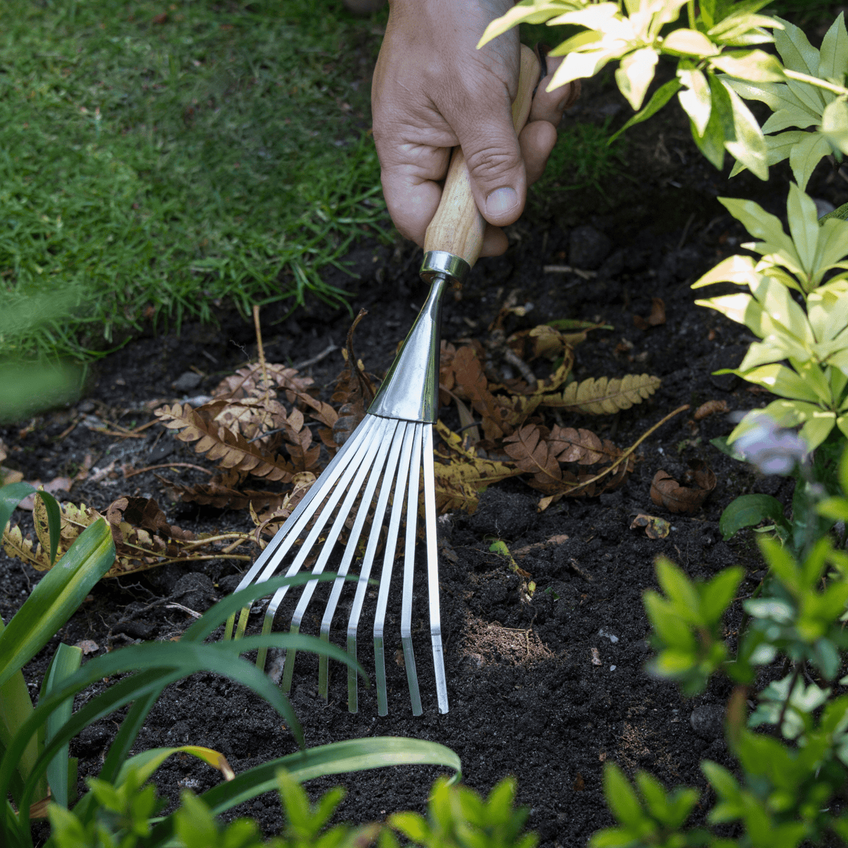 AllotMate Essentials RHS Endorsed Stainless Steel Shrub Rake by Burgon & Ball