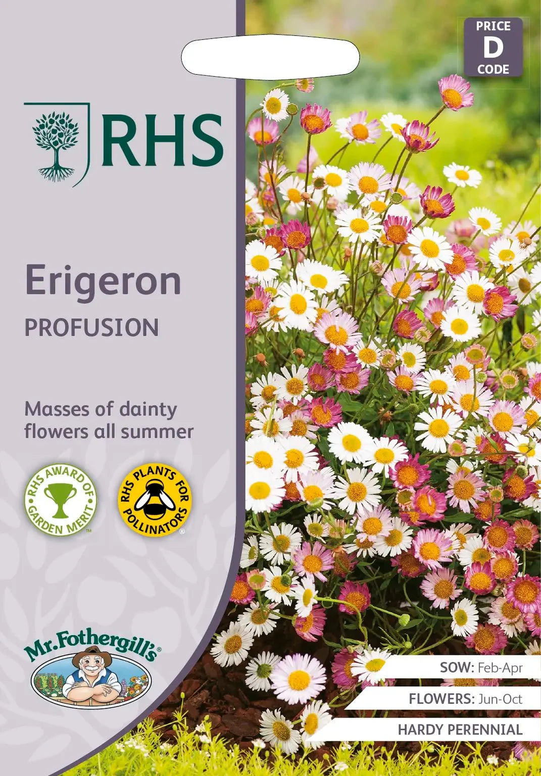 AllotMate Essentials RHS Erigeron Profusion 250 Seeds – Fleabane Daisy